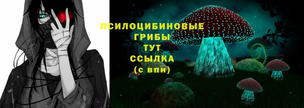 гидра Ижевск
