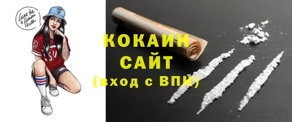 гидра Ижевск