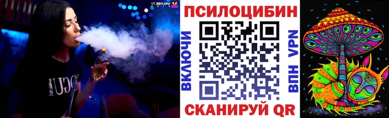 Псилоцибиновые грибы Psilocybe  Купить закладки  Свирск 